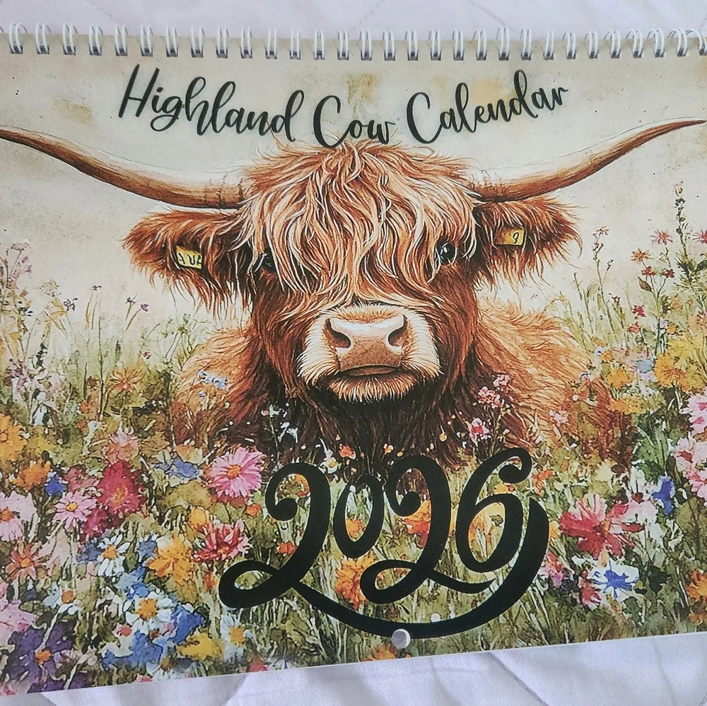 Highland Cow Calendar 2026 New 11